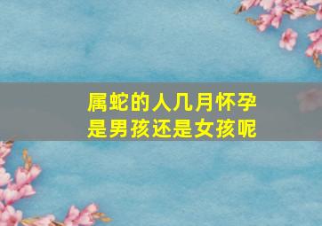 属蛇的人几月怀孕是男孩还是女孩呢