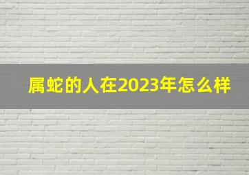 属蛇的人在2023年怎么样