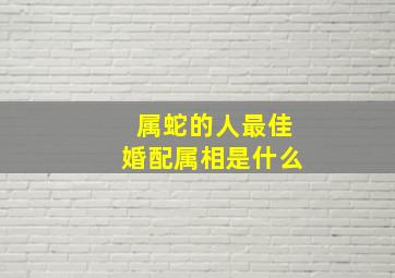 属蛇的人最佳婚配属相是什么