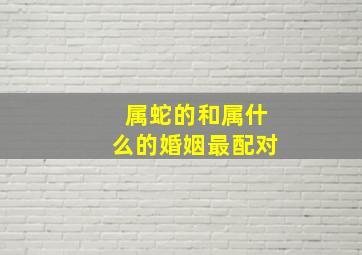 属蛇的和属什么的婚姻最配对