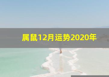 属鼠12月运势2020年