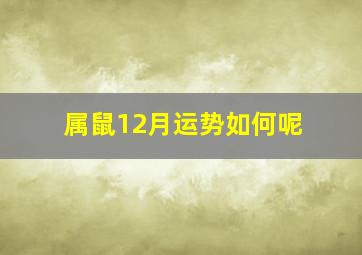 属鼠12月运势如何呢