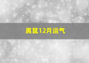 属鼠12月运气