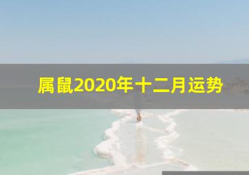 属鼠2020年十二月运势