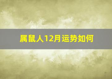 属鼠人12月运势如何