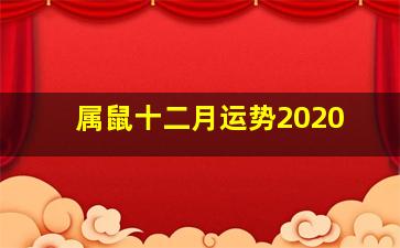 属鼠十二月运势2020