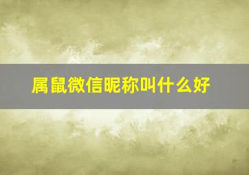 属鼠微信昵称叫什么好