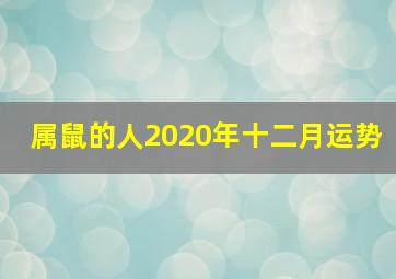 属鼠的人2020年十二月运势