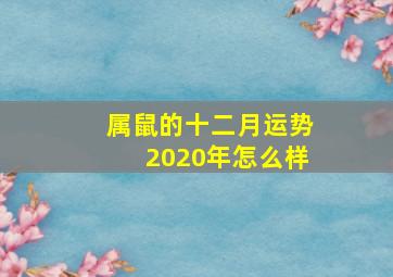 属鼠的十二月运势2020年怎么样