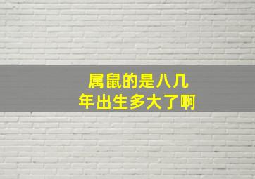 属鼠的是八几年出生多大了啊