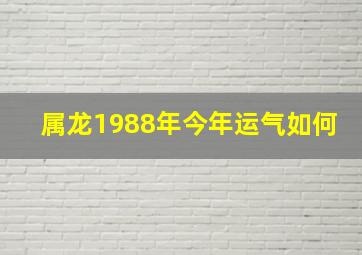 属龙1988年今年运气如何