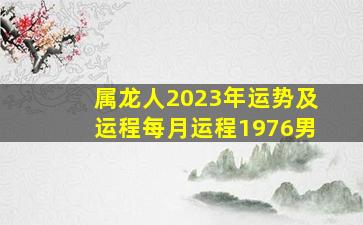 属龙人2023年运势及运程每月运程1976男