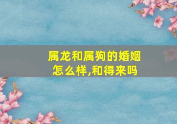 属龙和属狗的婚姻怎么样,和得来吗