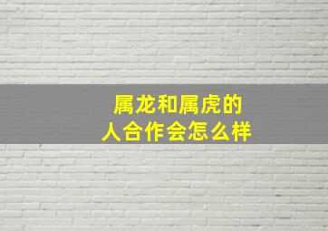 属龙和属虎的人合作会怎么样