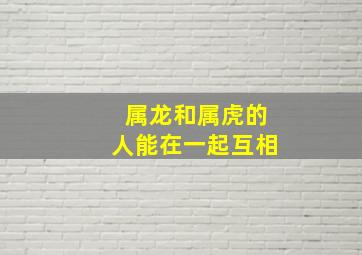 属龙和属虎的人能在一起互相