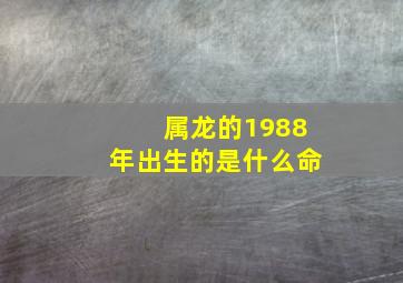 属龙的1988年出生的是什么命