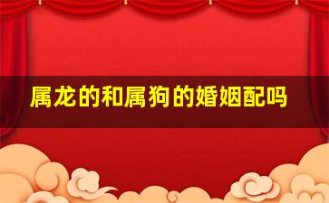 属龙的和属狗的婚姻配吗