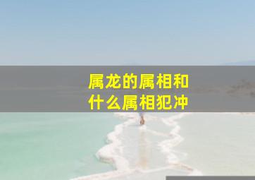 属龙的属相和什么属相犯冲