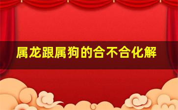 属龙跟属狗的合不合化解