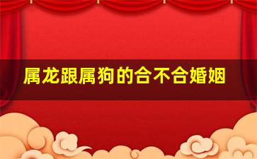 属龙跟属狗的合不合婚姻