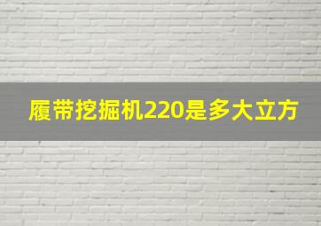 履带挖掘机220是多大立方