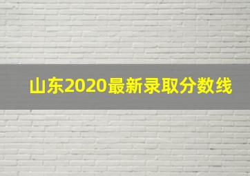 山东2020最新录取分数线