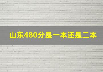 山东480分是一本还是二本