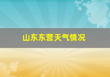 山东东营天气情况