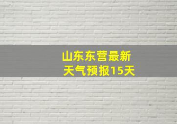 山东东营最新天气预报15天