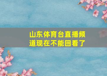 山东体育台直播频道现在不能回看了