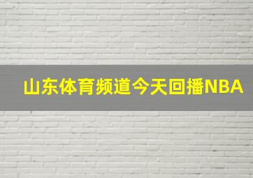 山东体育频道今天回播NBA