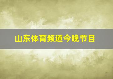 山东体育频道今晚节目