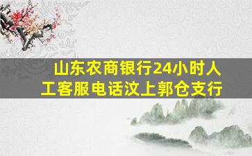 山东农商银行24小时人工客服电话汶上郭仓支行