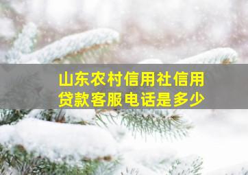 山东农村信用社信用贷款客服电话是多少