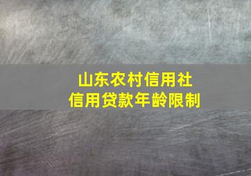 山东农村信用社信用贷款年龄限制