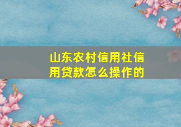 山东农村信用社信用贷款怎么操作的