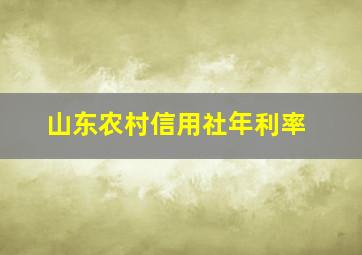 山东农村信用社年利率