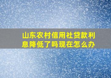 山东农村信用社贷款利息降低了吗现在怎么办