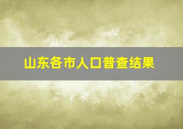 山东各市人口普查结果