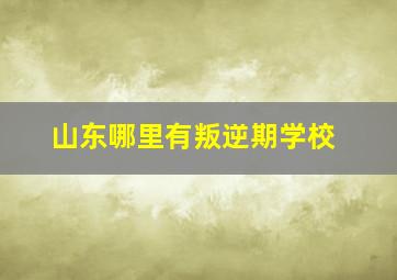 山东哪里有叛逆期学校