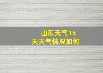 山东天气15天天气情况如何