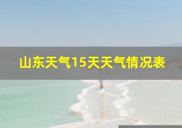 山东天气15天天气情况表