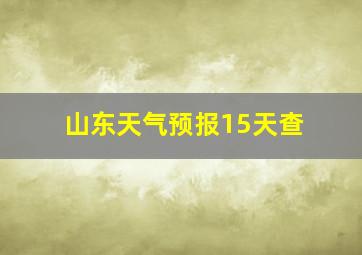 山东天气预报15天查