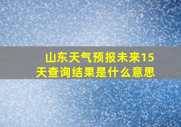 山东天气预报未来15天查询结果是什么意思