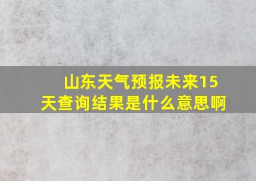 山东天气预报未来15天查询结果是什么意思啊