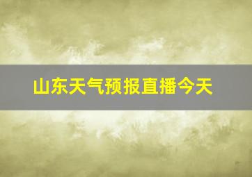 山东天气预报直播今天