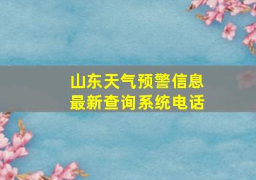 山东天气预警信息最新查询系统电话