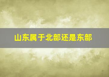 山东属于北部还是东部