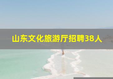 山东文化旅游厅招聘38人