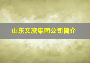 山东文旅集团公司简介